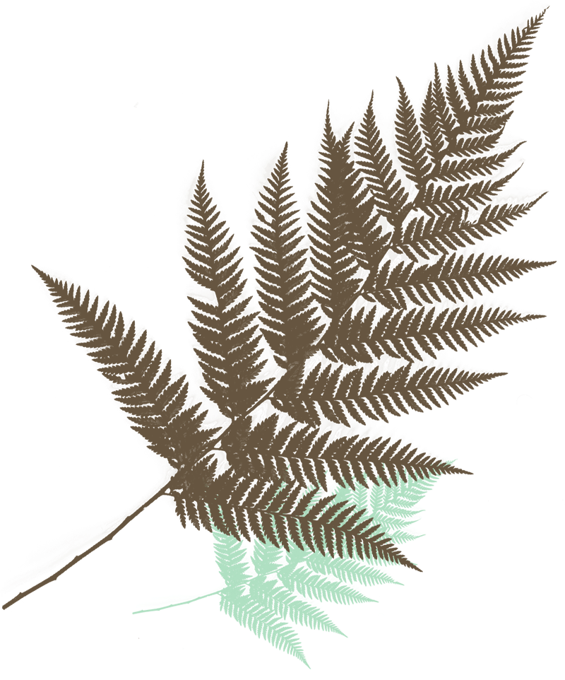 holistic-healer-custom03